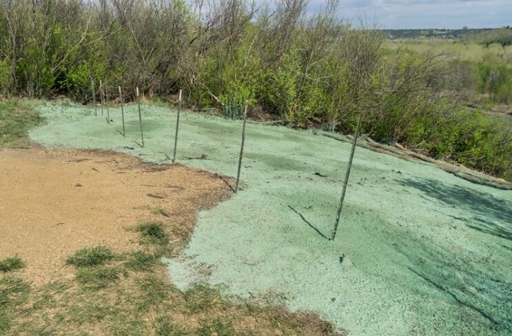 Commercial Hydroseeding Equipment Spraying Green Hydromulch Slurry On A New Yard In Whitehouse-Texas