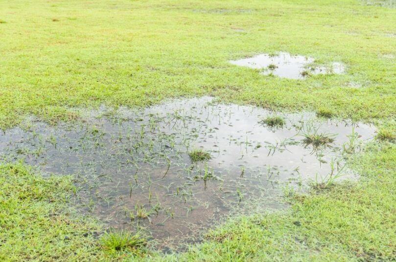 Hydroseeding solve pooling accumulation