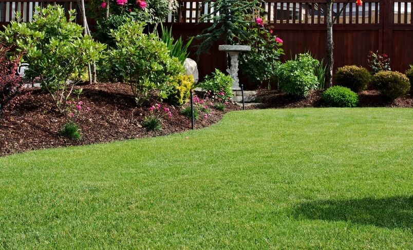 Lawn Renovation and replacement Service in Tyler TX and nearby