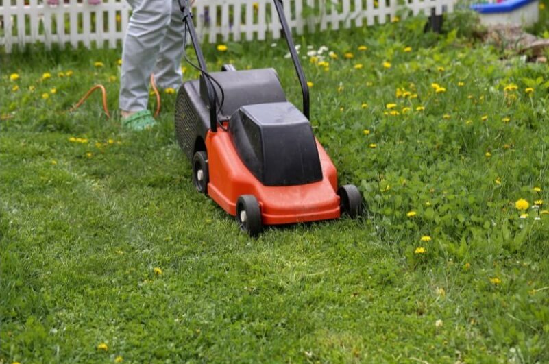 Mowing Lawn for Renovation in East Texax