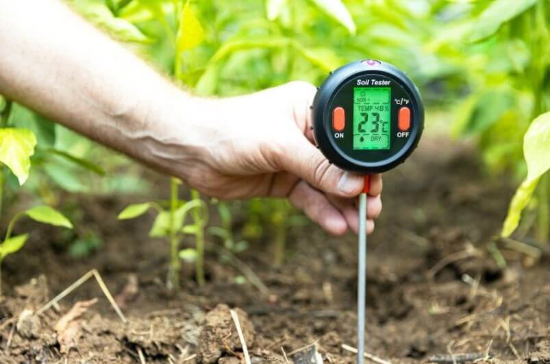 Test yard soil before Professional Evaluation Matters for Lawn Renovation